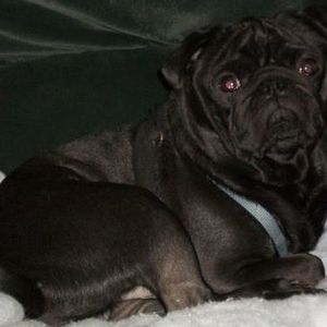 Meet your Posher, Jeffrey